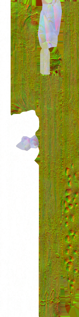 c4383_WP_A_1317_n.png