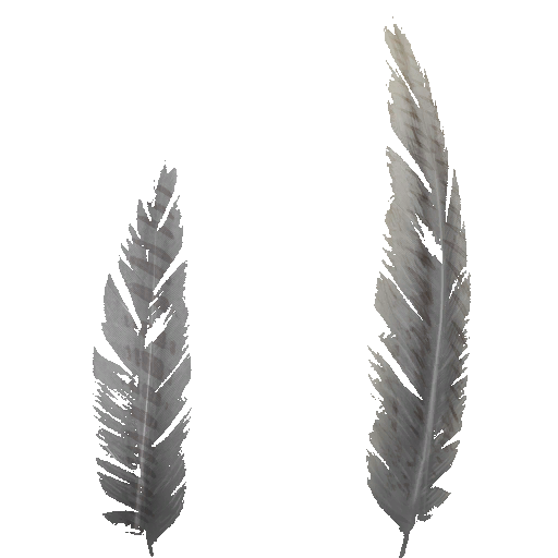 c4502_Feather_2_a.png