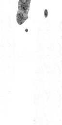 c3560_WP_A_1101_m.png