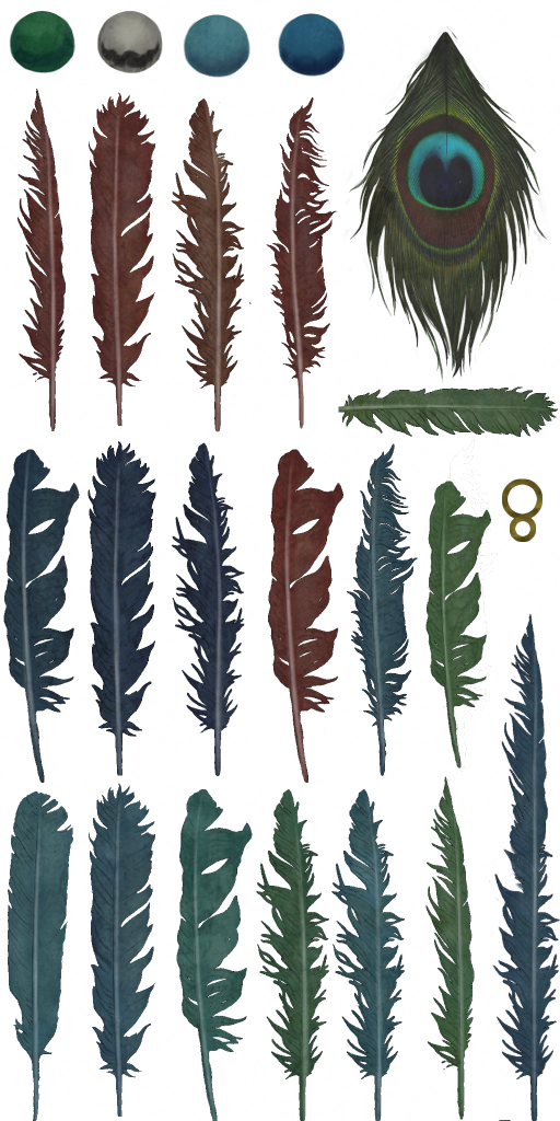 c4690_peacock_feathers_a.png