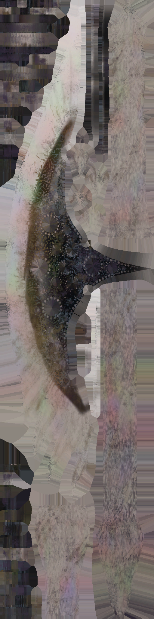c3810_WP_A_0911_a.png