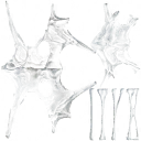 c4230_Mucus_a.png