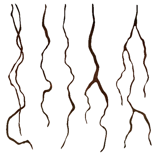 c4440_roots_a.png