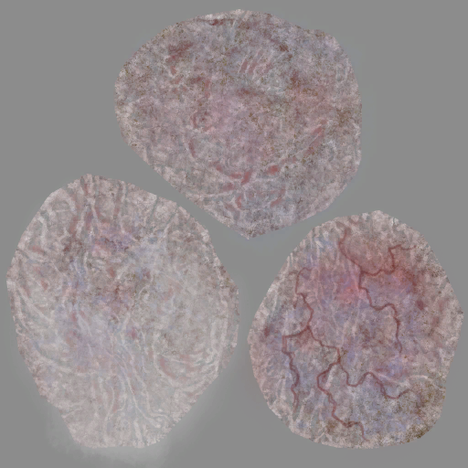 c2041_meat_a.png