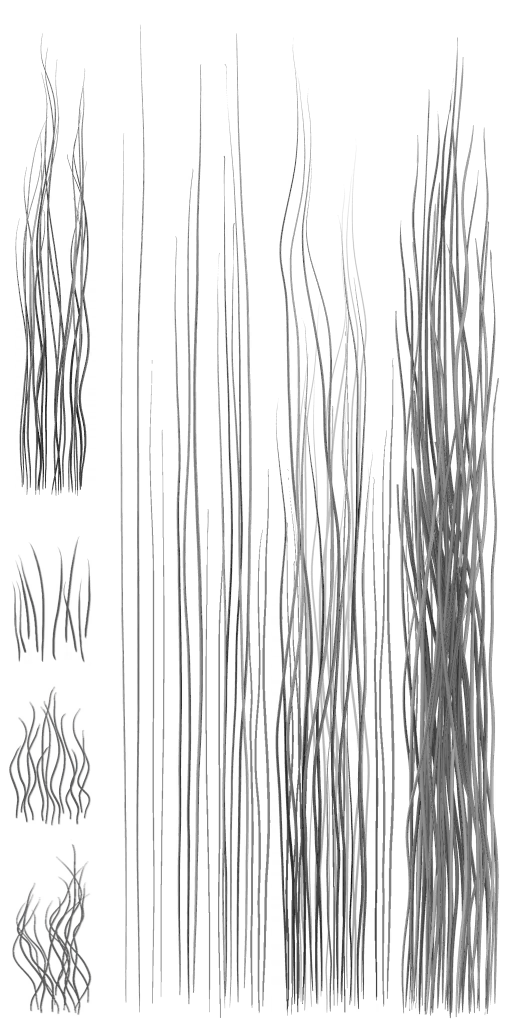 c3460_Hair02_a.png