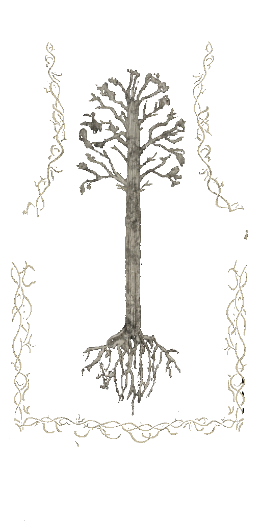 c4313_pattern_a.png