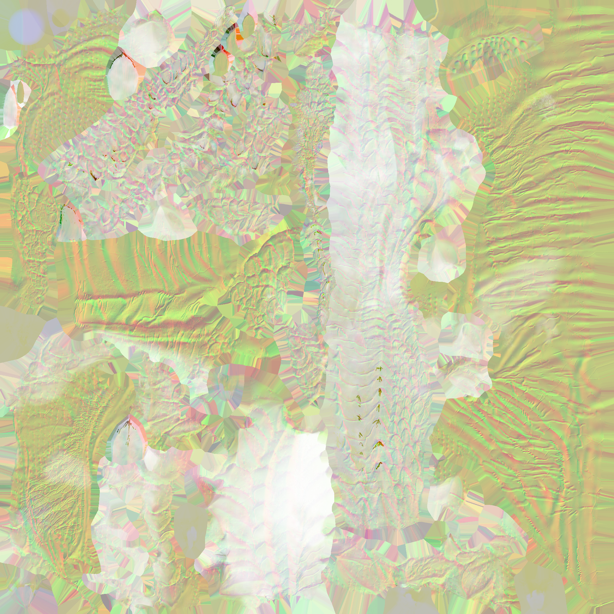 c4910_FaceBody_n.png