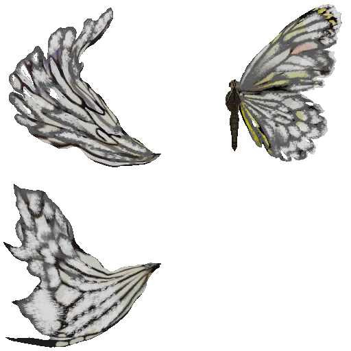 c2120_butterfly_color_a.png