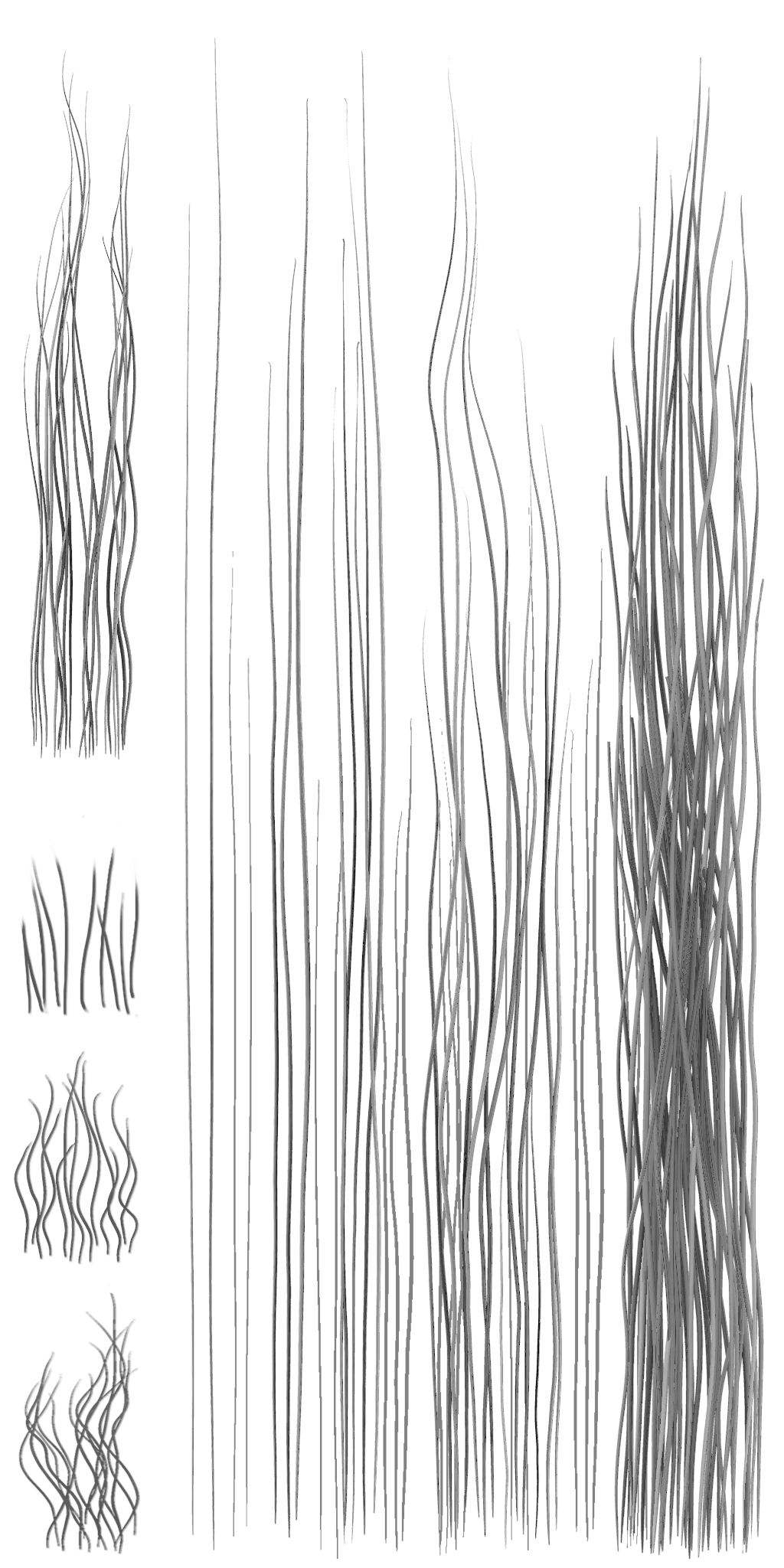 c2110_Hair_a.png