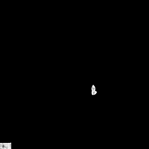 c2110_Robe_BD_m.png