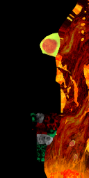 c3950_WP_A_0414_em.png