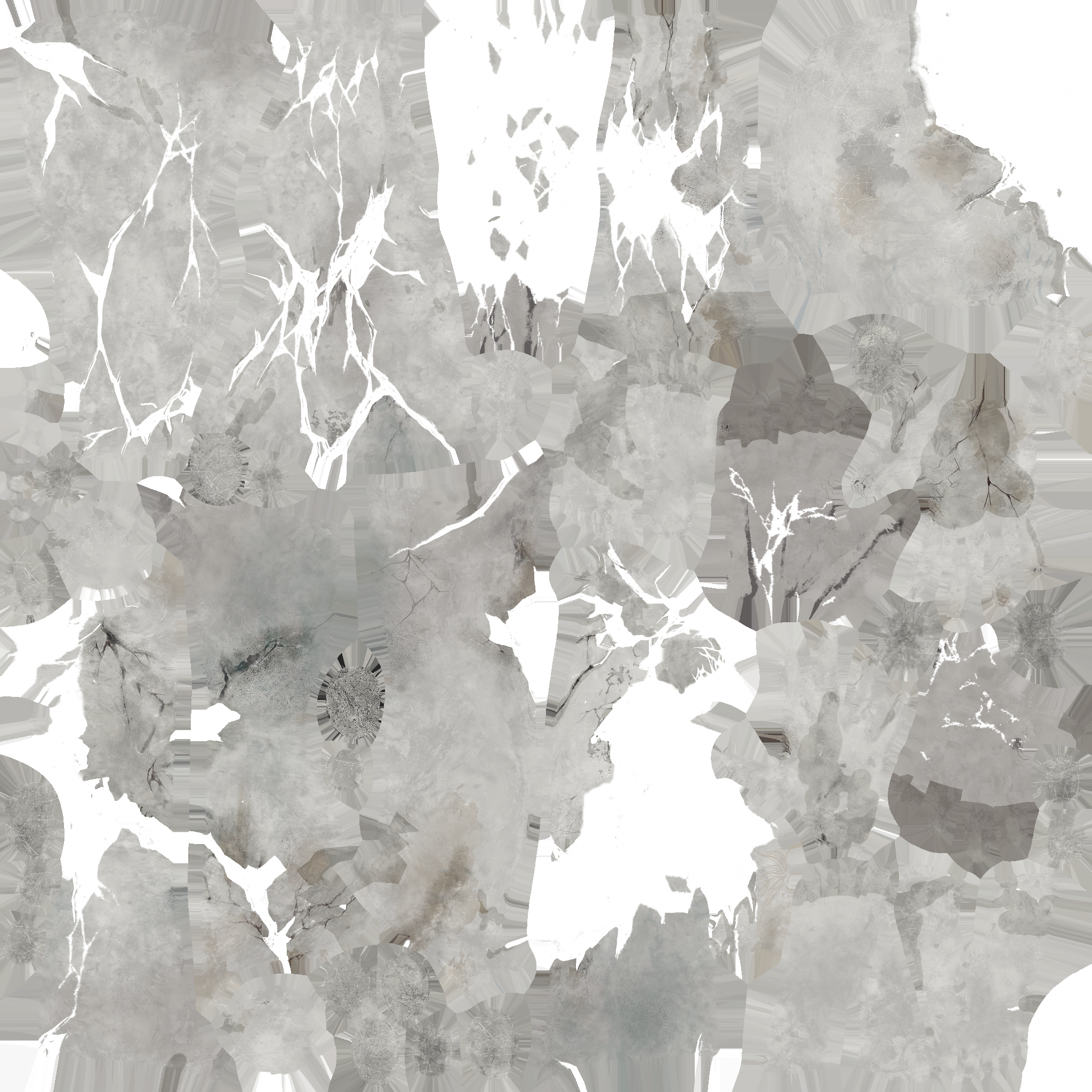 c2191_body_a.png