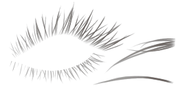 c8906_EyeLash_a.png