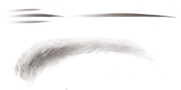 c8906_Eyebrow_a.png