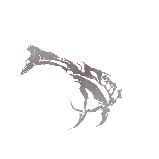 c8906_Tattoo_a.png