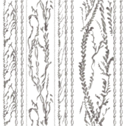 c2180_BD_Stitch_a.png