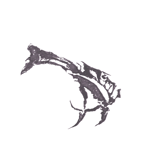 c2180_Tattoo_a.png