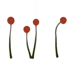 c4480_Fur_a.png