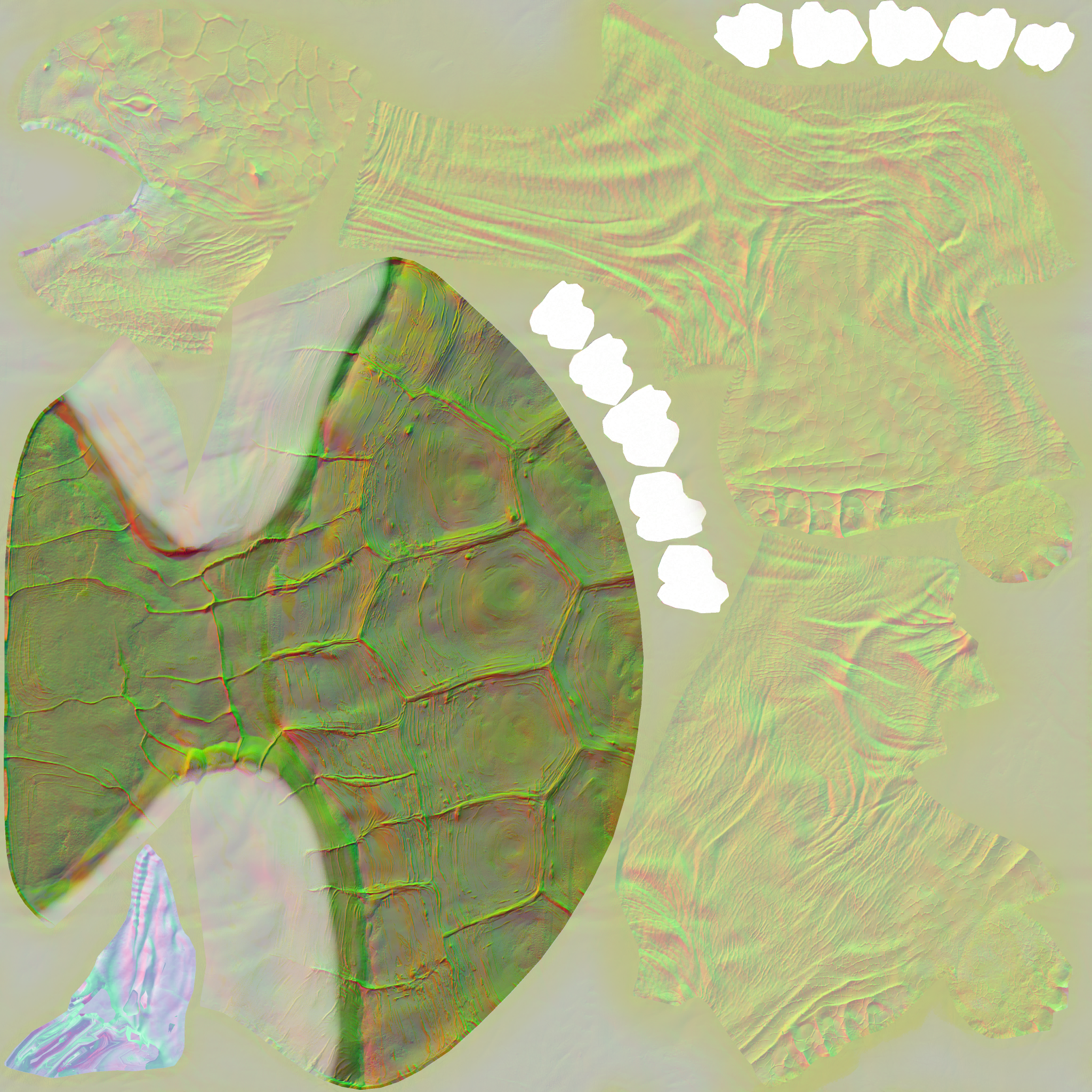c6091_n.png