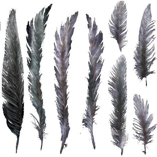 c4800_Feather_a.png