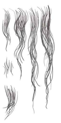 c2131_Beard_a.png