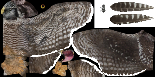 c6040_a.png