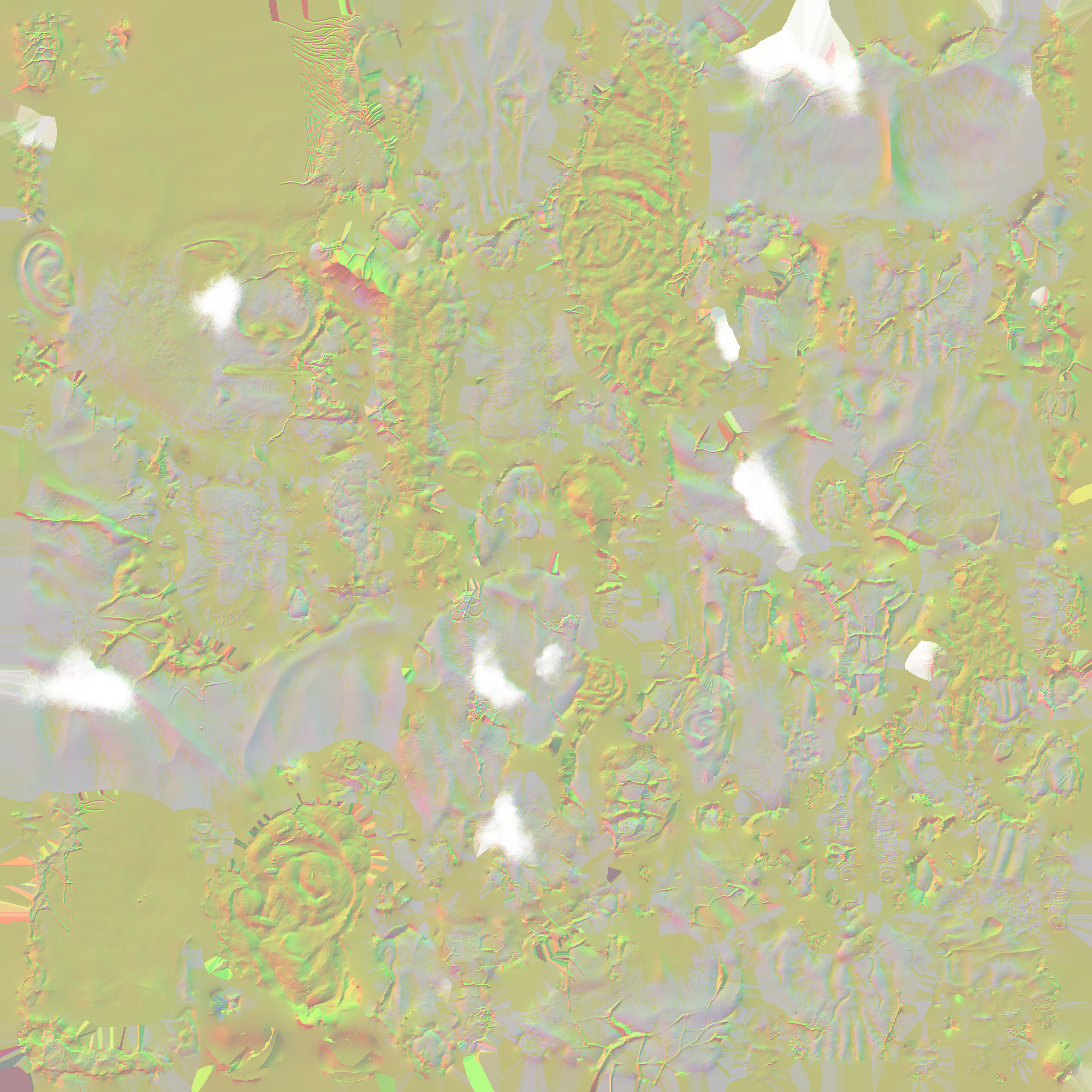 c2190_body_n.png
