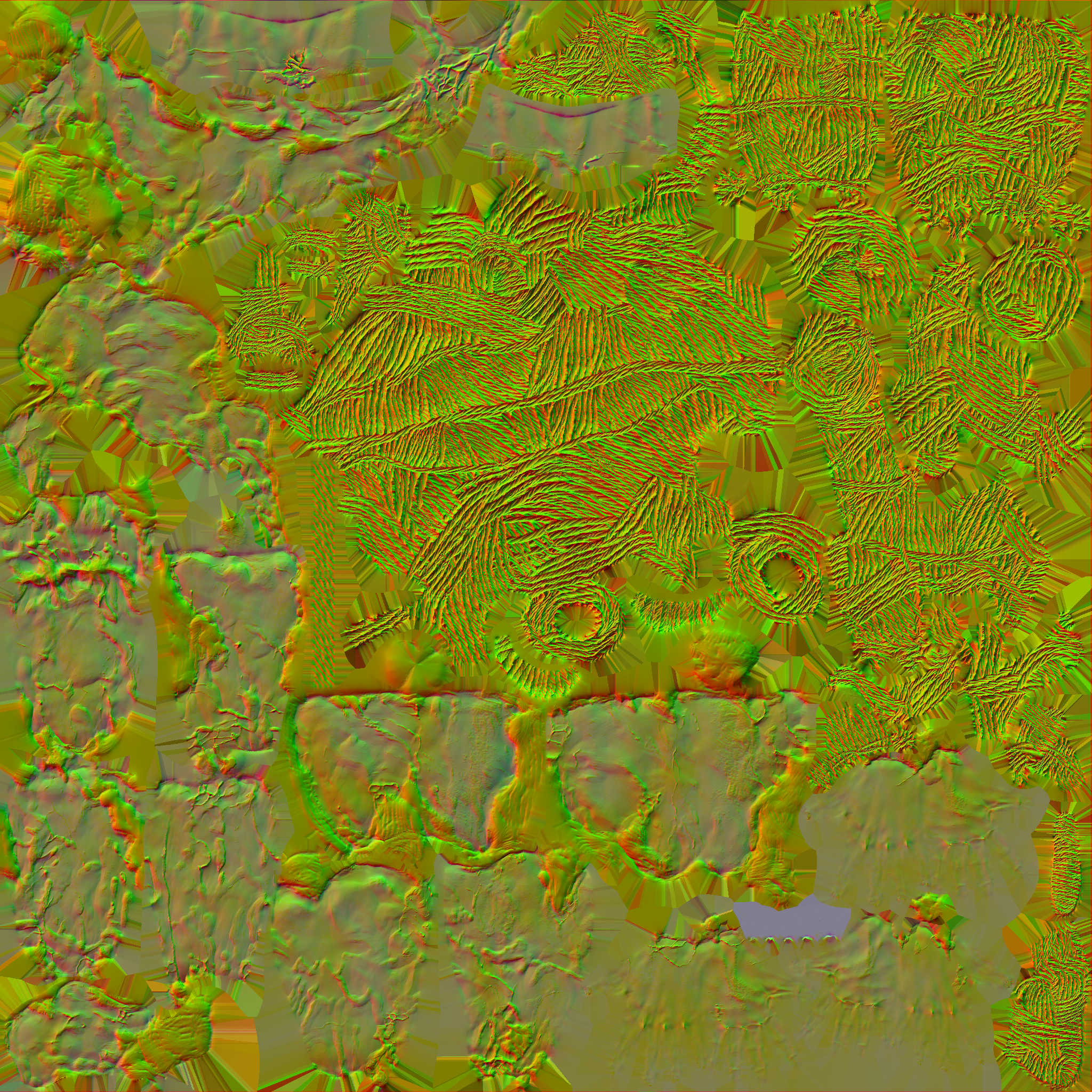 c2050_BD_Skin_n.png