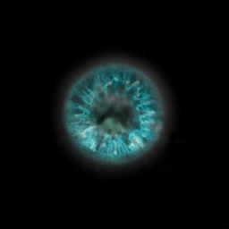 c2050_FC_Eye_em.png