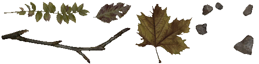 c4630_Dirt_a.png