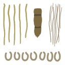 c3550_BD_2_a.png