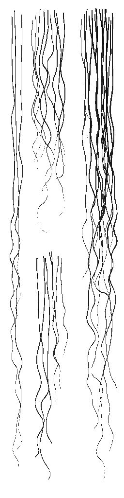 c3500_Hair_a.png