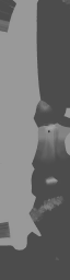 c4040_body_1m.png