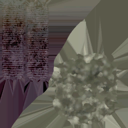 c4040_deracine_meat_a.png
