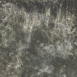 c4161_fur_color_a.png