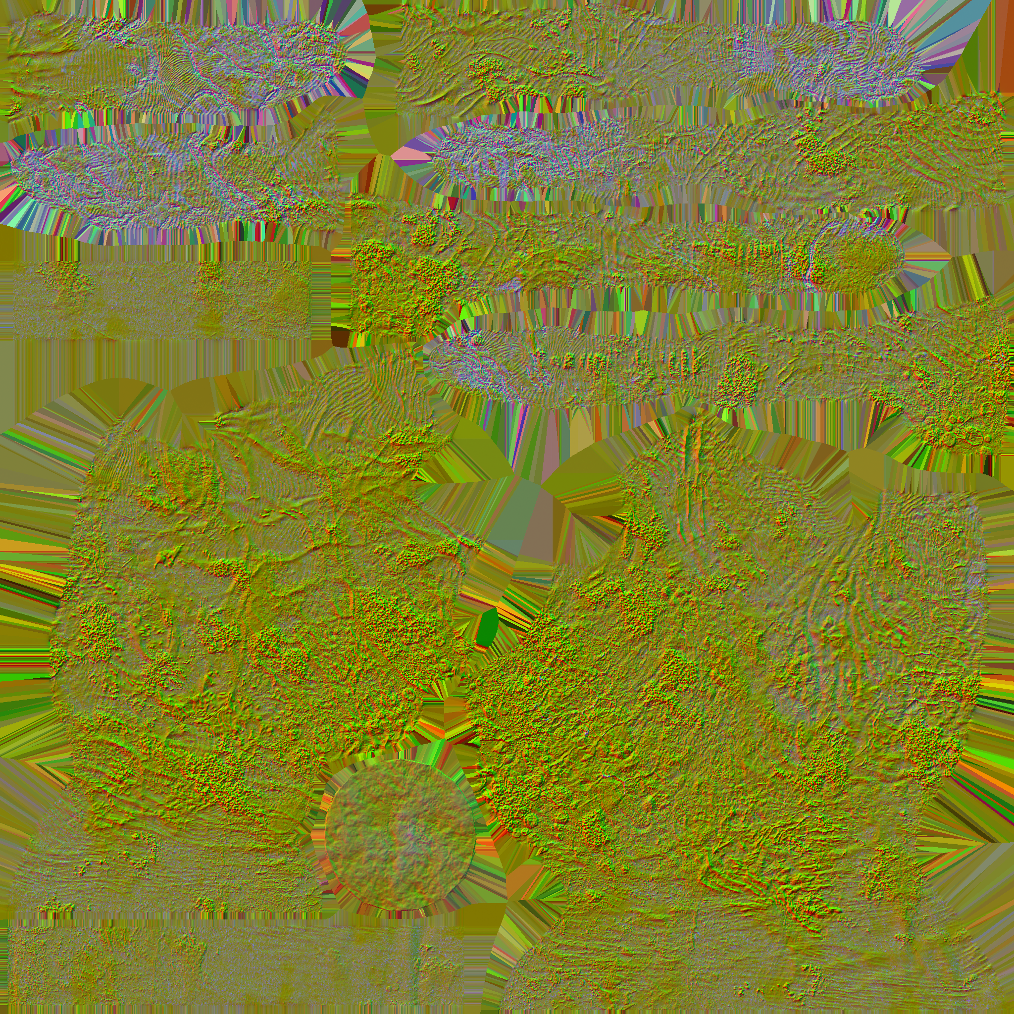 c2070_body_n.png