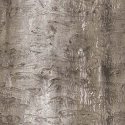 c3251_Shield_bark_a.png