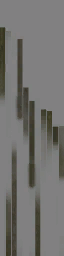 c3251_Shield_branch_Color_a.png