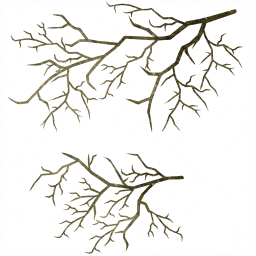 c3251_Tree_a.png