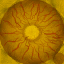 c4602_eyes_a.png
