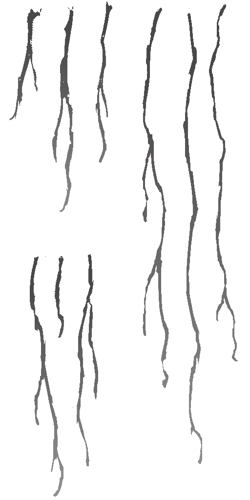 c4640_Fur_a.png