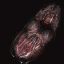 c4640_Mouth_r.png