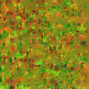 c4770_Hair_n.png