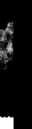 c6320_WP_A_1310_m.png