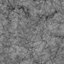 c4570_Skin_T2_a.png