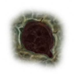 c4570_Skin_hole_a.png