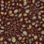 c5527_Tick_a.png