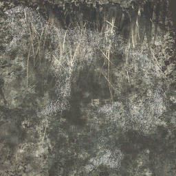 c5527_fur_color_a.png