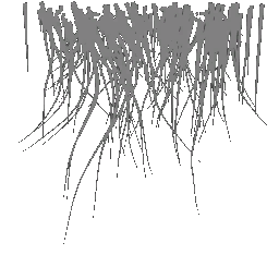 c5526_fur2_a.png