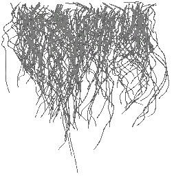 c5526_fur3_a.png